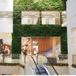giardino verticale di piante viventi
