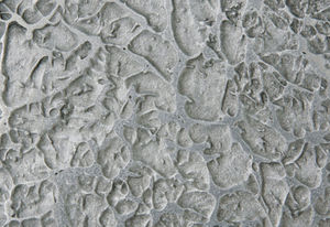 pittura decorativa 1
