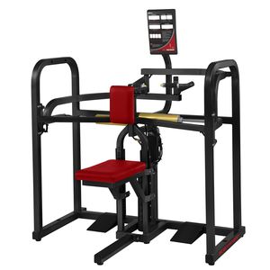 attrezzo per bodybuilding estensione del dorso