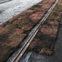 stabilizzatore a terra