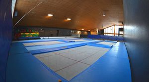 trampolino da ginnastica 1