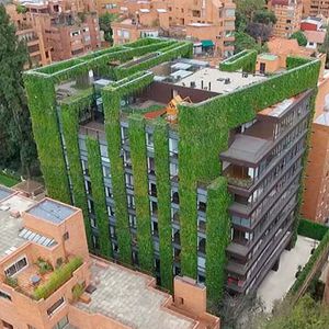 parete vegetale stabilizzata