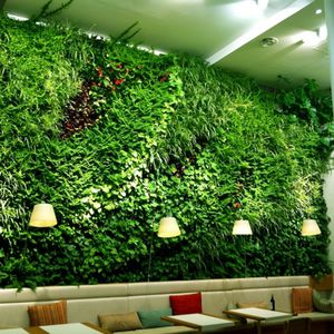parete vegetale di piante viventi