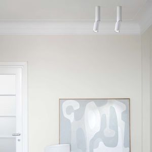 faretto da soffitto