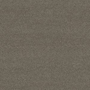 moquette pelo raso 1