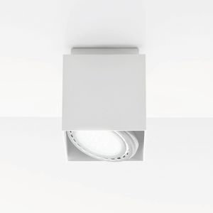 downlight sporgente
