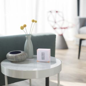 termostato digitale