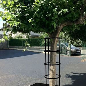 griglia di protezione per alberi in metallo