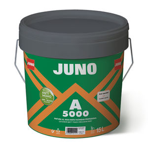 pittura decorativa 1