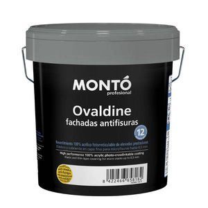 pittura di protezione