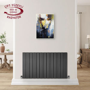 radiatore ad acqua calda 1