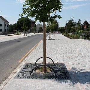 griglia per alberi quadrata