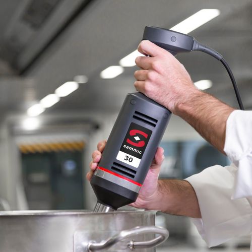 Mixer ad affondamento - XM-31  - Sammic - professionale