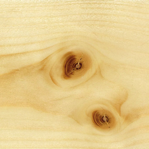 Trave in legno - A. Barbosa - a sezione rettangolare / per cassero