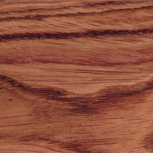Cornice di porte in legno - SPECIES 4 / 5 / 6 / 7 / 8 / 9 - A. Barbosa