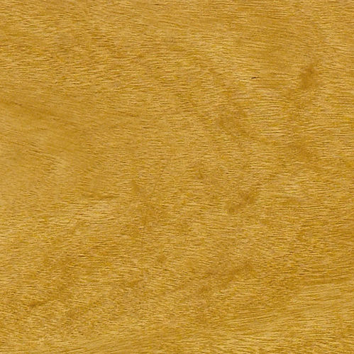 Parquet massello - PAU CETIM - A. Barbosa - in legno di latifoglie / in legno massiccio / satinato