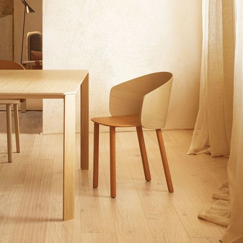 Sedia contemporanea - NOT  - True Design srl - da interno / in legno / in rovere