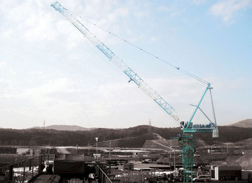 Gru con braccio impennabile - ED300L-16 - Everdigm Corp - fissa / di sollevamento / per cantiere di costruzione