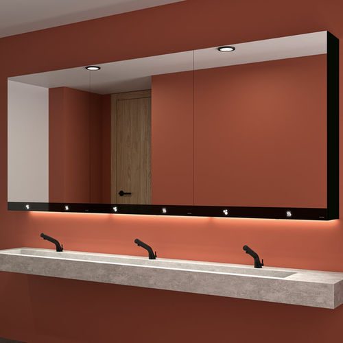 Specchio da bagno a muro - 51020 series - DELABIE - contract / contemporaneo / rettangolare