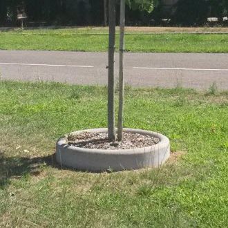 Cordolo per albero - ALKERN - in calcestruzzo / circolare
