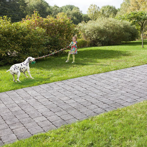 Pavé in calcestruzzo - HYDRA - ALKERN - da esterno / anticato / per pedoni