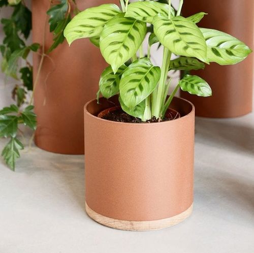 Vaso da giardino in alluminio - Plant Collectors - VIJ5 - in rovere / da appoggio / rotondo