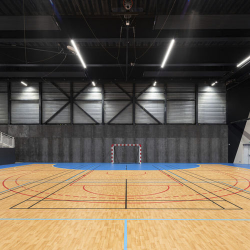Pavimentazione sportiva da interno - OMNISPORTS ACTIVE+  - Tarkett Sports Indoor - in vinile / per scuola / per atletica