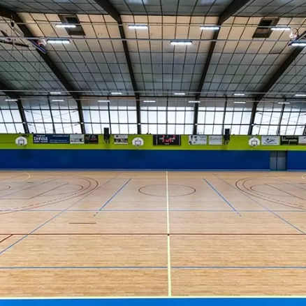 Pavimentazione sportiva da interno - LUMAFLEX ENERGY OMNISPORTS REFERENCE MULTI-USE - Tarkett Sports Indoor - in legno / in vinile / per sale polivalenti