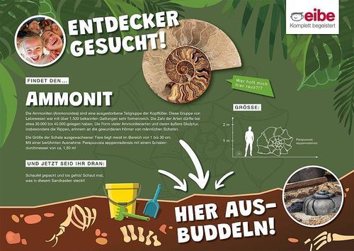 Pannello informativo da esterno - AMMONIT - eibe Produktion + Vertrieb GmbH & Co KG - per spazio pubblico / per parco giochi