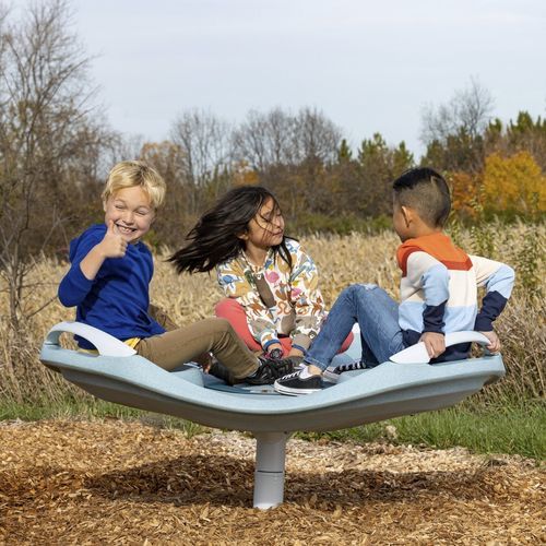 Gioco a rotazione per bambini - ReviWhirl&trade; - Design 7184 - LANDSCAPE STRUCTURES - per disabili / per parco giochi