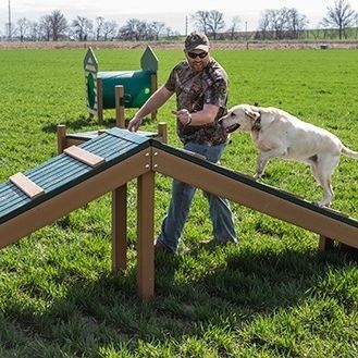 Percorso a ostacoli per cani - HILLTOP CHALLENGE - progressive design playgrounds - passerella / da esterno