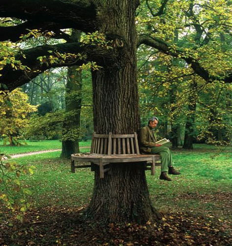 Panca da giardino classica - SEMI-CIRCULAR - Tectona - in teak / con schienale