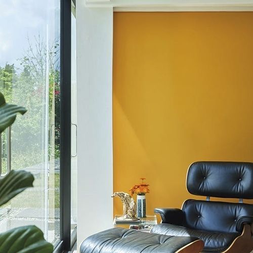 Pittura decorativa - DUTCH - Farrow & Ball - di finitura / per esterni / da sala