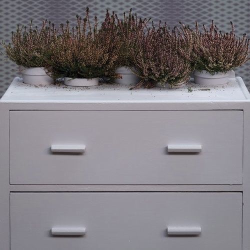 Pittura decorativa - CALLUNA - Farrow & Ball - di finitura / per esterni / da bagno