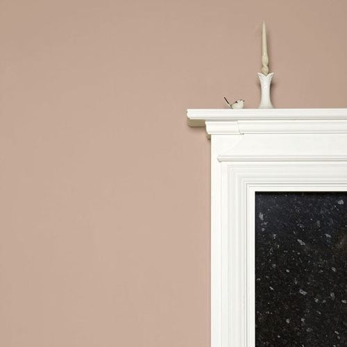 Pittura decorativa - DEAD SALMON - Farrow & Ball - di finitura / per esterni / per cucina