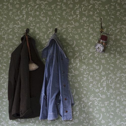 Carta da parati contemporanea - UPPARK series - Farrow & Ball - con motivi floreali / rossa / blu