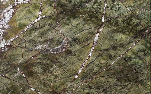 Pavimento in marmo - PICASSO GREEN - Margraf SpA - a quadrotte / spazzolato / levigato