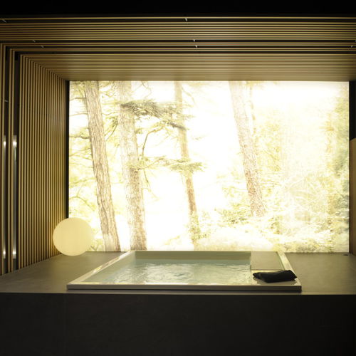 Vasca da bagno ad uso professionale - WATERDREAM - EFFEGIBI - in calcestruzzo / bianca