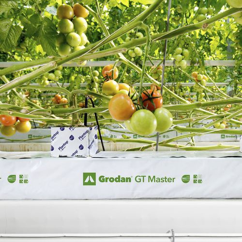 Sacco per piante - GT MASTER - GRODAN