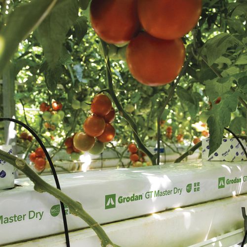 Sacco per piante - MASTER DRY - GRODAN