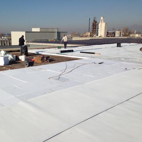 Membrana impermeabilizzante per tetti - MAPEPLAN® TM BROOF (T1) - Polyglass Spa - in rotoli / flessibile / sintetica
