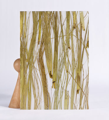 Pannello decorativo per interni - THAI GREEN - Designpanel - in poliestere / liscio / organico