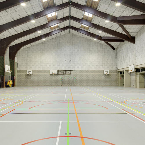 Pavimentazione sportiva da interno - LUMAFLEX EVOLUTION OMNISPORTS COMPACT - Tarkett PROFESSIONAL - in vinile / professionale / di lunga durata