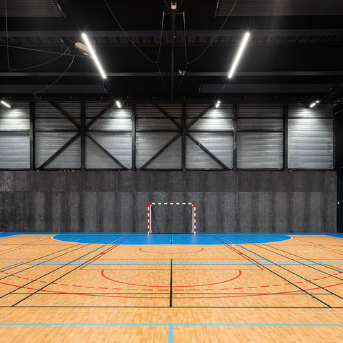 Pavimentazione sportiva da interno - OMNISPORTS ACTIVE + - Tarkett PROFESSIONAL - in vinile / professionale / acustica