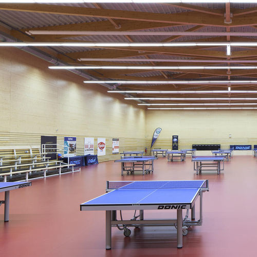 Pavimentazione sportiva da interno - OMNISPORTS SPEED - Tarkett PROFESSIONAL - in vinile / professionale / di lunga durata