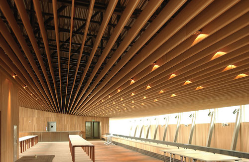 Pannello sandwich per muro - MALVAUX Industries - rivestimento in legno / isolante alveolare in cartone