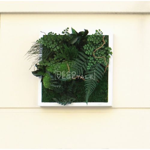 Quadro vegetale stabilizzato - NATURE - deco-vegetale - in fogliame / in muschio / da interno