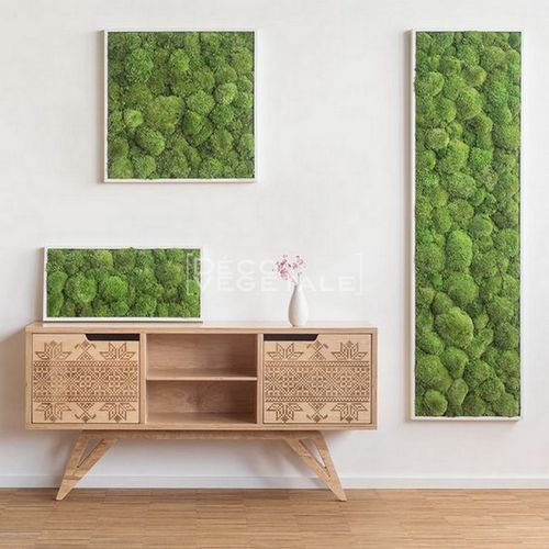 Quadro vegetale stabilizzato - GREEN STAR - deco-vegetale - in fogliame / in muschio / da interno