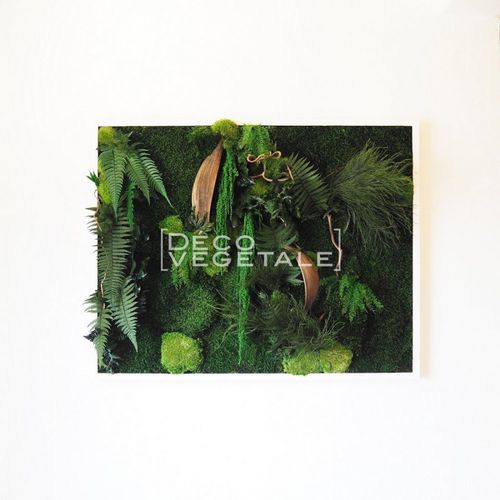 Quadro vegetale stabilizzato - GARDENERS BAY - deco-vegetale - naturale / in fogliame / da interno