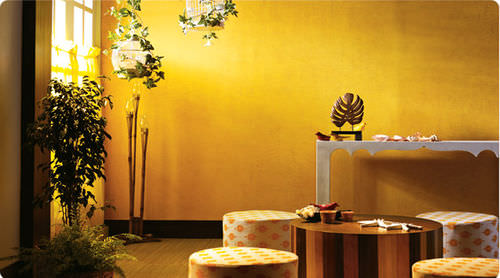 Pittura decorativa - KORA GRASS - ASIAN PAINTS - indoor / per muro / ad effetti